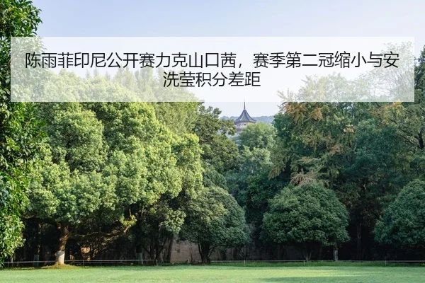陈雨菲印尼公开赛力克山口茜，赛季第二冠缩小与安洗莹积分差距